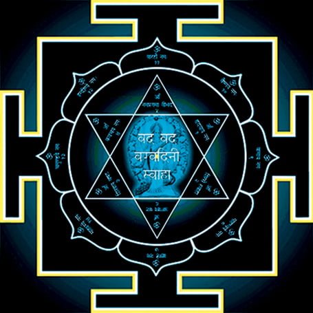 Eğitim Hayatında Başarı