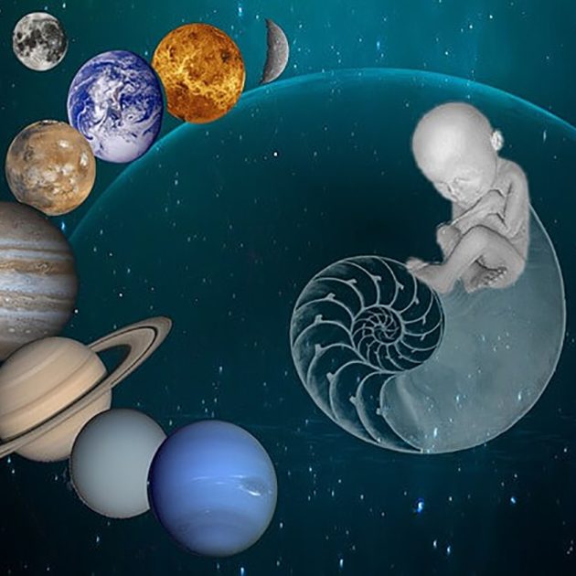 Vedik Doğum Haritası Analizi